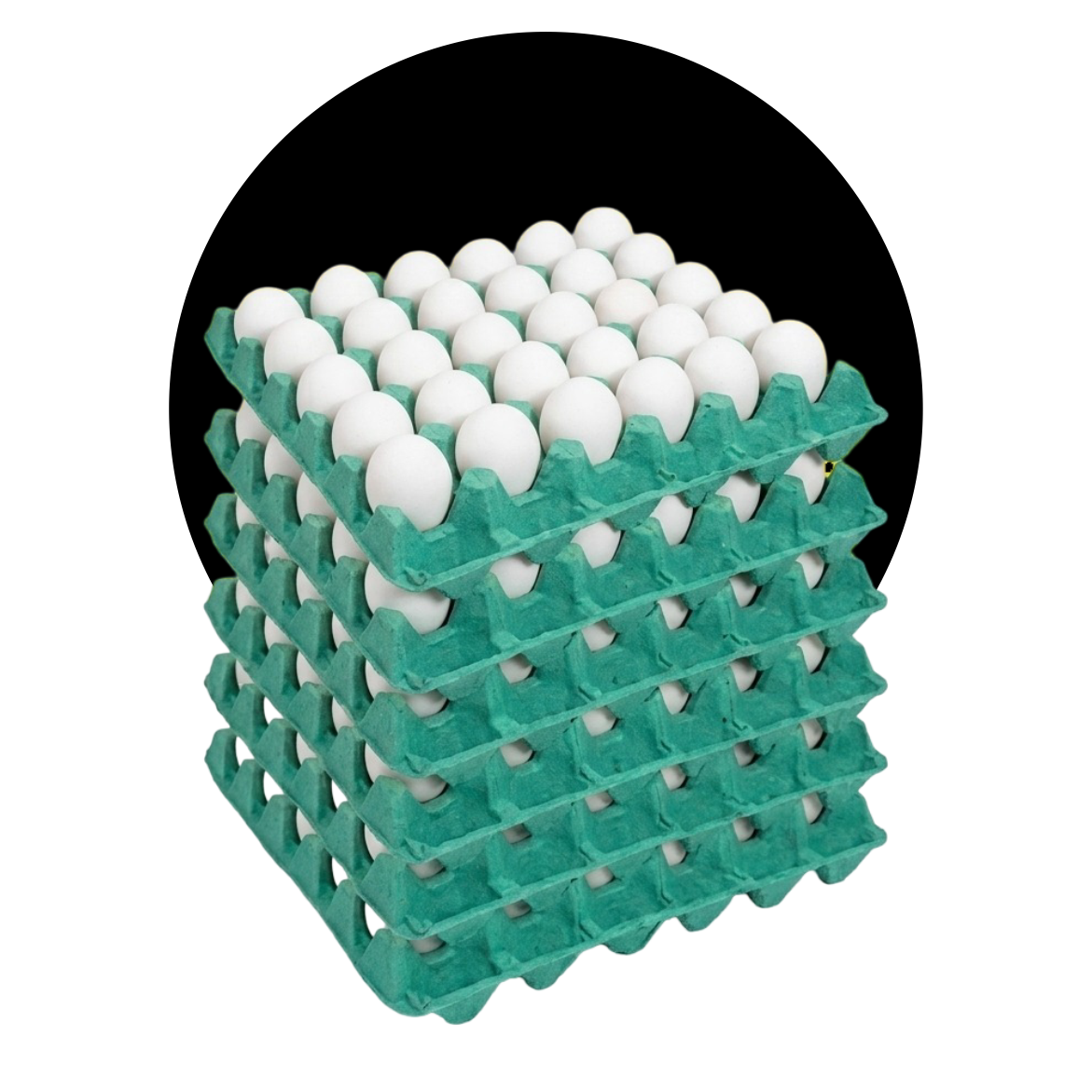 Ovos brancos à granel