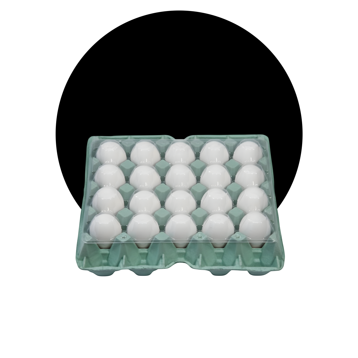 Ovos brancos embalados